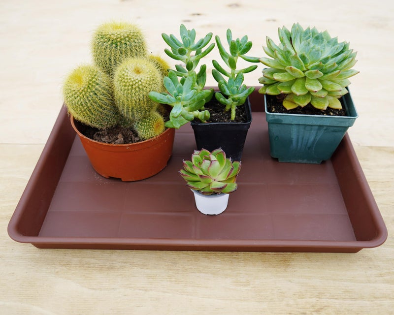 VUWEZ Rectangle Plant Tray  Plant Drip Tray  Plant Pot Saucers  Plant Germination Trays  Plant Saucers  14.5'' x 11'' x 1.5'' (2 pack)  Chocolate - Image 5